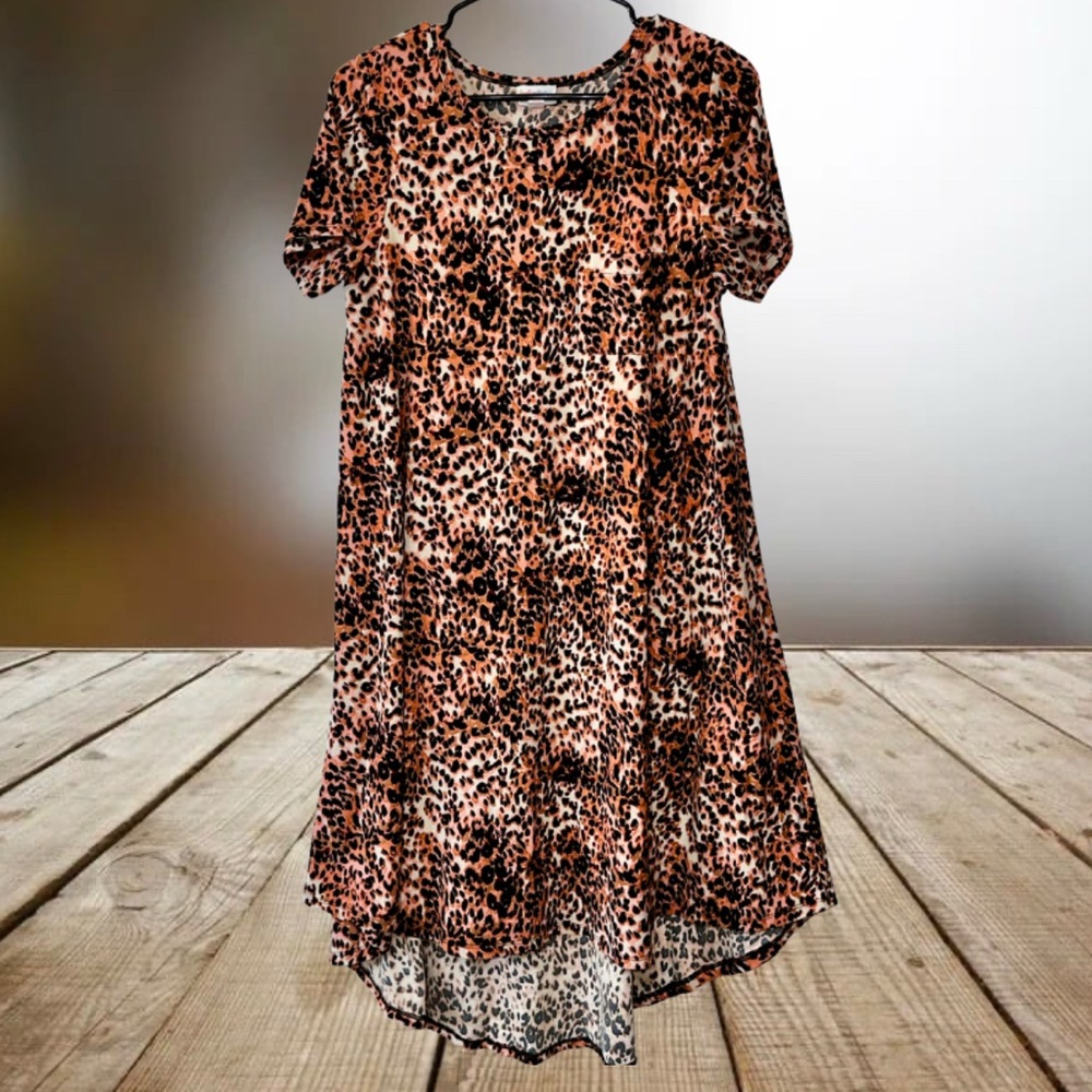 3/$50 LulaRoe Carly Dress